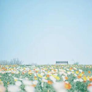 睿軒-Floral Sea（小只老师 remix）