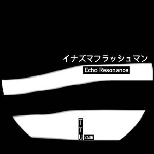 Echo Resonance