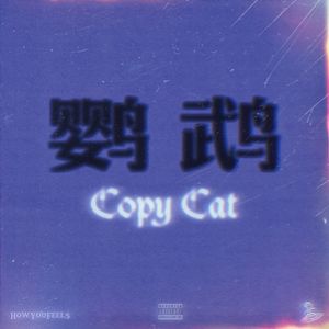 鹦鹉 Copy Cat