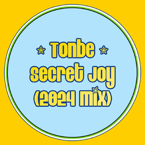 Secret Joy (2024 Mix)