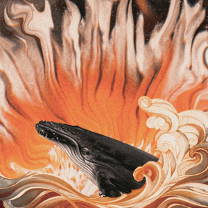 Whales