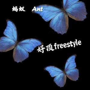 好顶freestyle