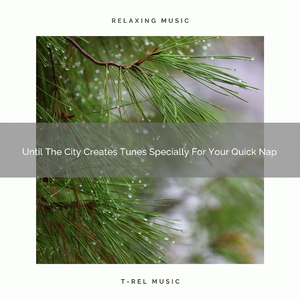 Sleepy Noise For Enjoy Every Day, Crowded Minds, And Fullstack