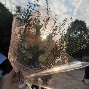 错季的候鸟
