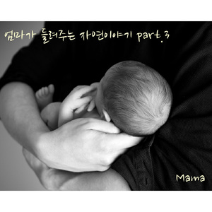 나른한 오후에 새들과 함께