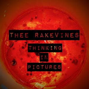 Thinking in Pictures