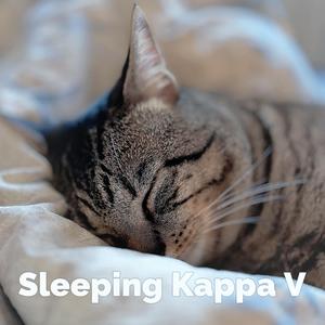 睡眠音樂,一秒入睡!!! 兩小時不間斷放鬆音樂,睡眠音樂 療癒音樂，音樂治療,毛寶貝們聽了也陪您一起入睡的輕柔鋼琴音樂... ·