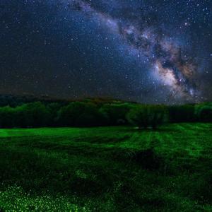 Rough Year (Tribute)