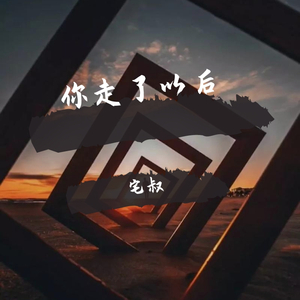你走了以后
