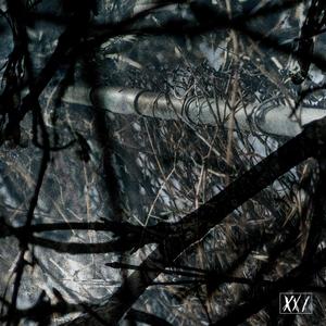 Dreaming Of Your Face (feat. DEADWINTER)