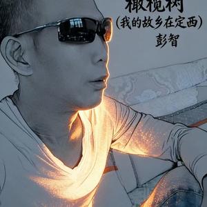 橄榄树（我的故乡在定西）