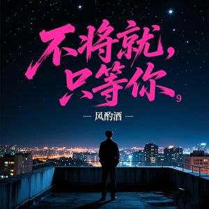 不将就，只等你