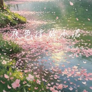 夜色揉碎承诺(撕裂男版）