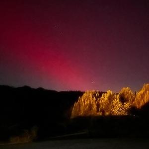 **** em (feat. smizz)