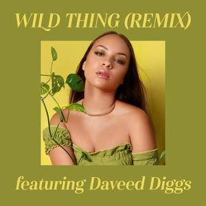 Wild Thing (feat. Daveed Diggs) (Remix) (Remix)