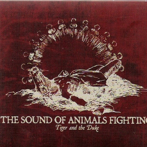 Act II: All Is The Light Shining Through It