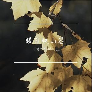 松间藏云影