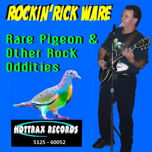 Rare Pigeon