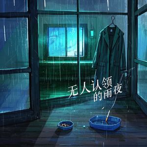 无人认领的雨夜