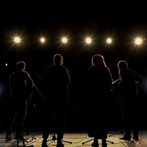Trækfugle (Live 2020)