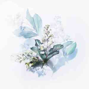 烟花易冷 (催眠曲)