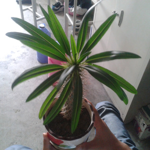 回忆从这里开始