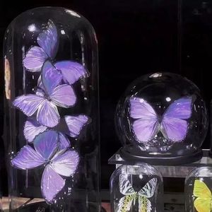 Butterfly（Prod by Lemon MAX）