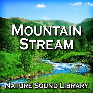 Fresh, Quick Moving Mountain Stream for Emotional Strength and Well Being