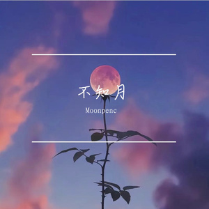 你是我在这个世界的唯一锚点