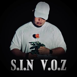 S.I.N V.O.Z