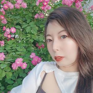 澎湃归来