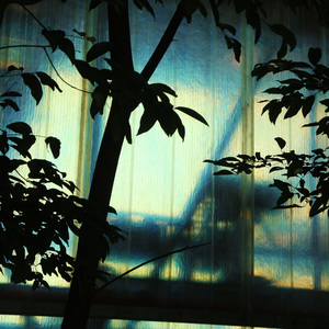 篇章二·一：书立