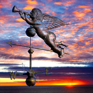 Magic Forest Dwellers Song