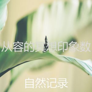 安静的瑜珈声音