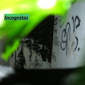 Incognitas