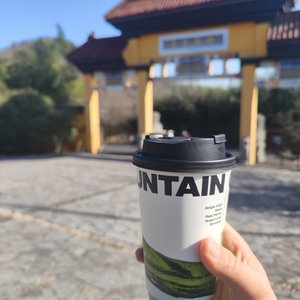 曾有长剑入梦来