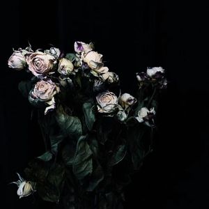 兰因絮果(Prod.by Jeston)