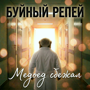Медоед сбежал
