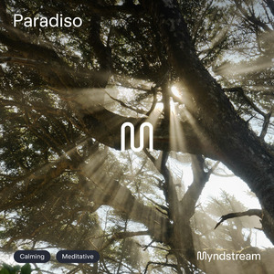 Paradiso