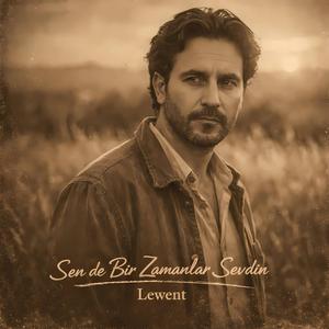 Sen de Bir Zamanlar Sevdin