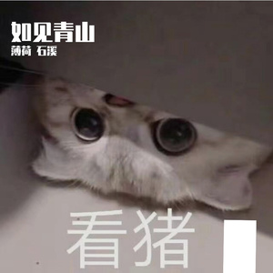 如见青山（翻自 忘川风华录）