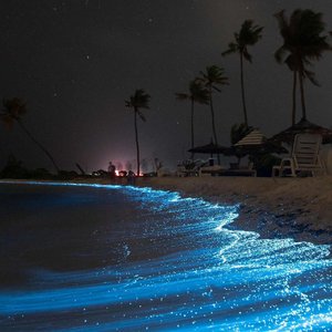 幻昼Phonk (Slowed)