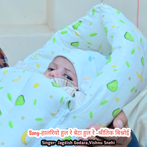 हालरियो हुल रे बेटा हुल रे -श्रीतिक बिश्नोई