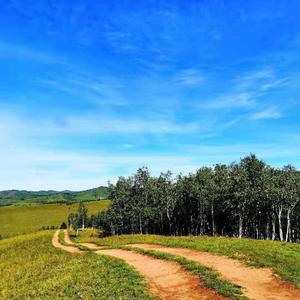 火车开往远方的城市