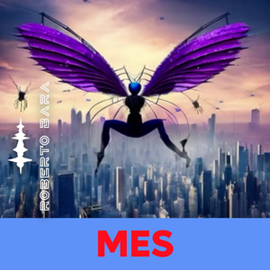 Mes