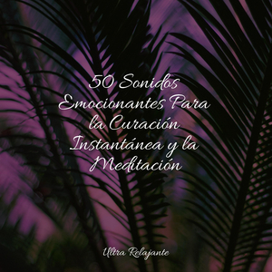 En Lo Profundo De Las Cuevas