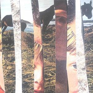 horse (demo)