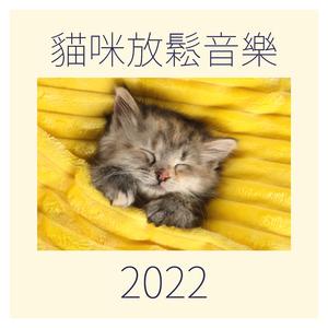 竖琴音乐的神奇疗愈力