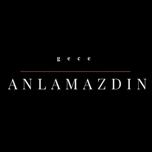 Anlamazdın