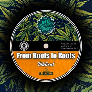 From Roots to Roots Dub